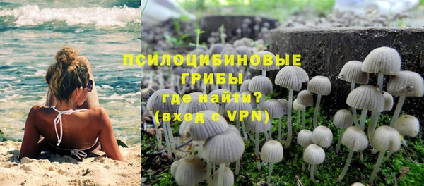 jwh Зерноград
